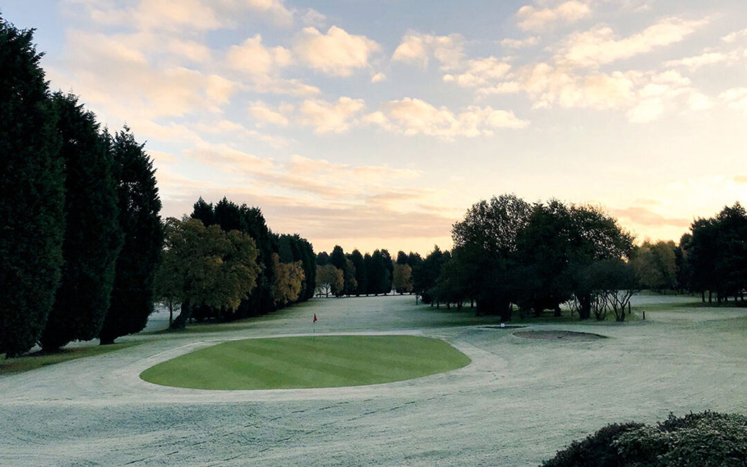 Ryder en Invierno: Guía Completa para el Cuidado del Césped en Temporada Fría y Preparación para la Primavera ❄️🌱