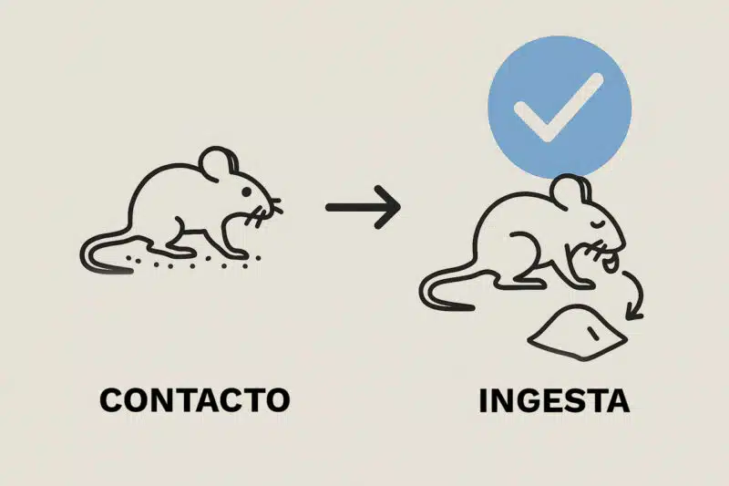 rodenticida formato polvo